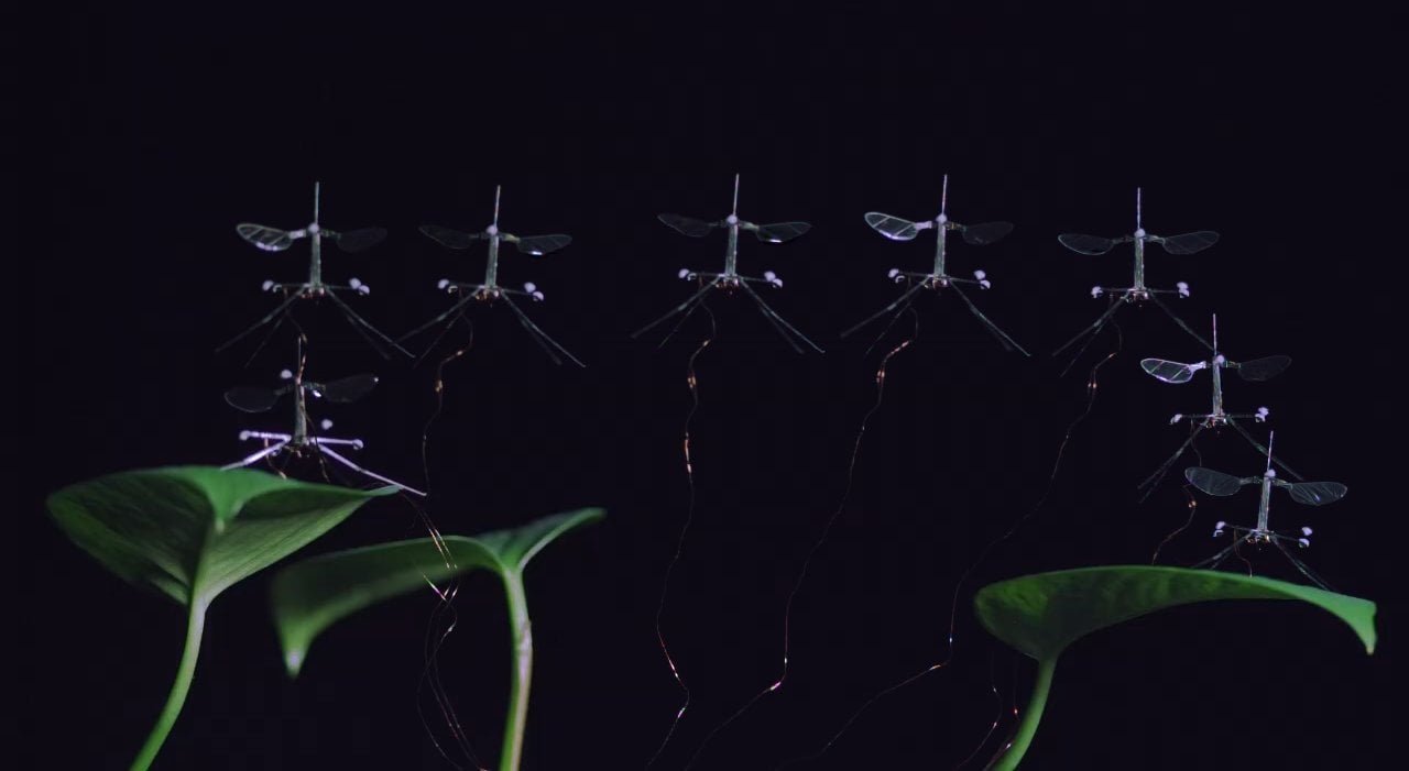 Complex landing leaves