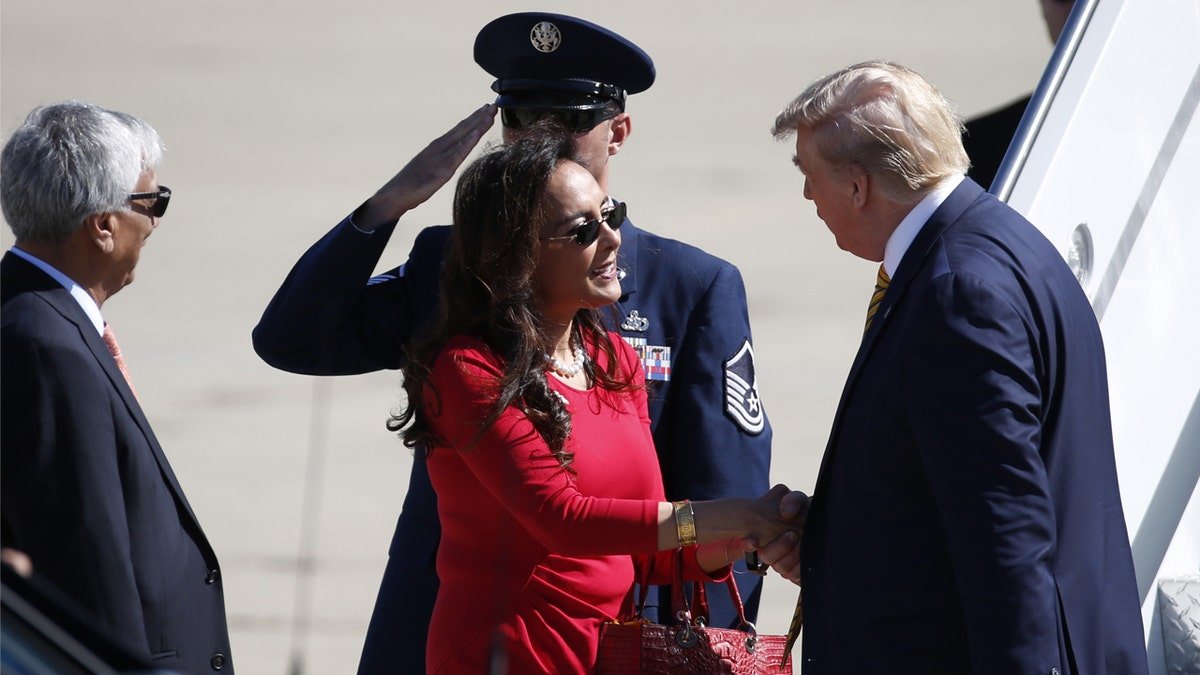 Delon Trump Airport