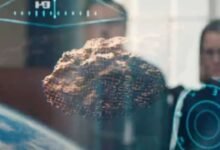 1746073725 Netflix Original Sci Fi Comedy Finds Dark Humor In An Extinction Level.jpg