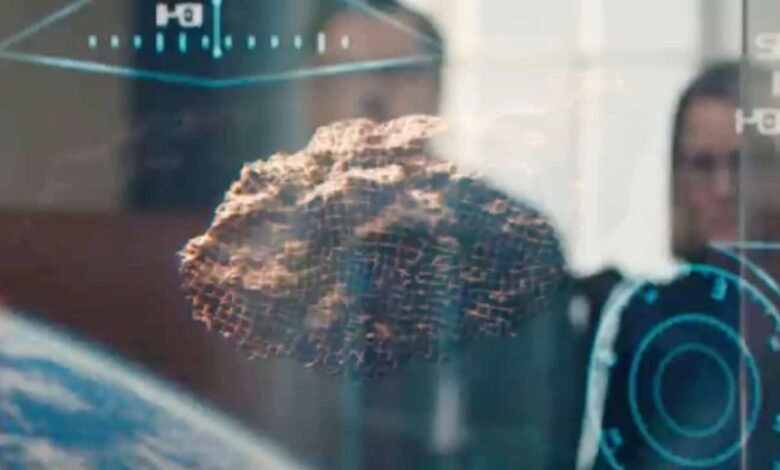 1746073725 Netflix Original Sci Fi Comedy Finds Dark Humor In An Extinction Level.jpg