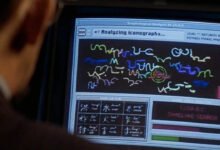 1746140064 The Family Comedy Trainwreck Thats So Terrible Its Being Erased.jpg