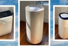 1746288203 15 Best Air Purifiers 2025 Coway AirDoctor IQAir.jpg