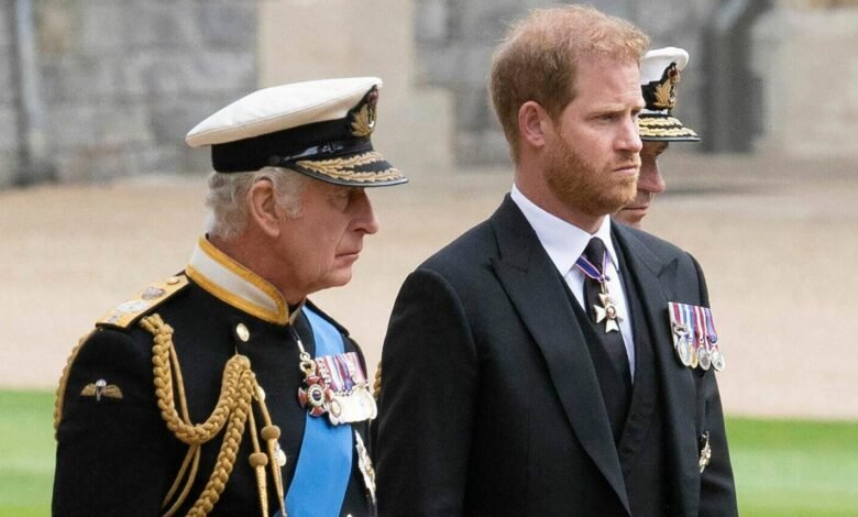 1746355185 Prince Harry Sparks Outrage After Hinting At King Charles Health.jpg