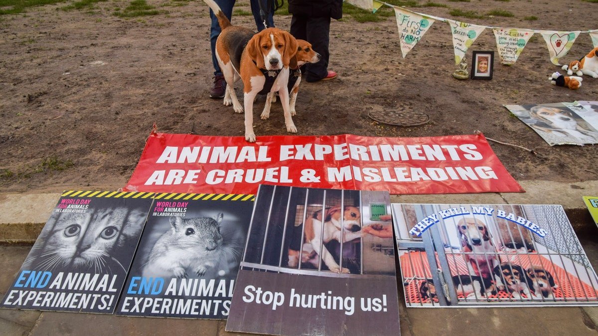 Pegal protest in the United Kingdom