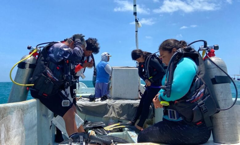 1746448931 How Mexicos Fishing Refuges Are Fighting Back Against Poaching.jpeg