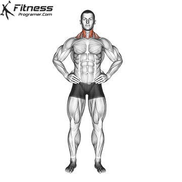 Cracking of the neck: Is it safe or harmful? All you need to know 6 Side neck stretch