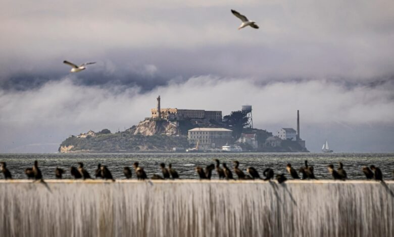 1746508800 Reopening Alcatraz How much tourism revenue does the historic prison.jpg