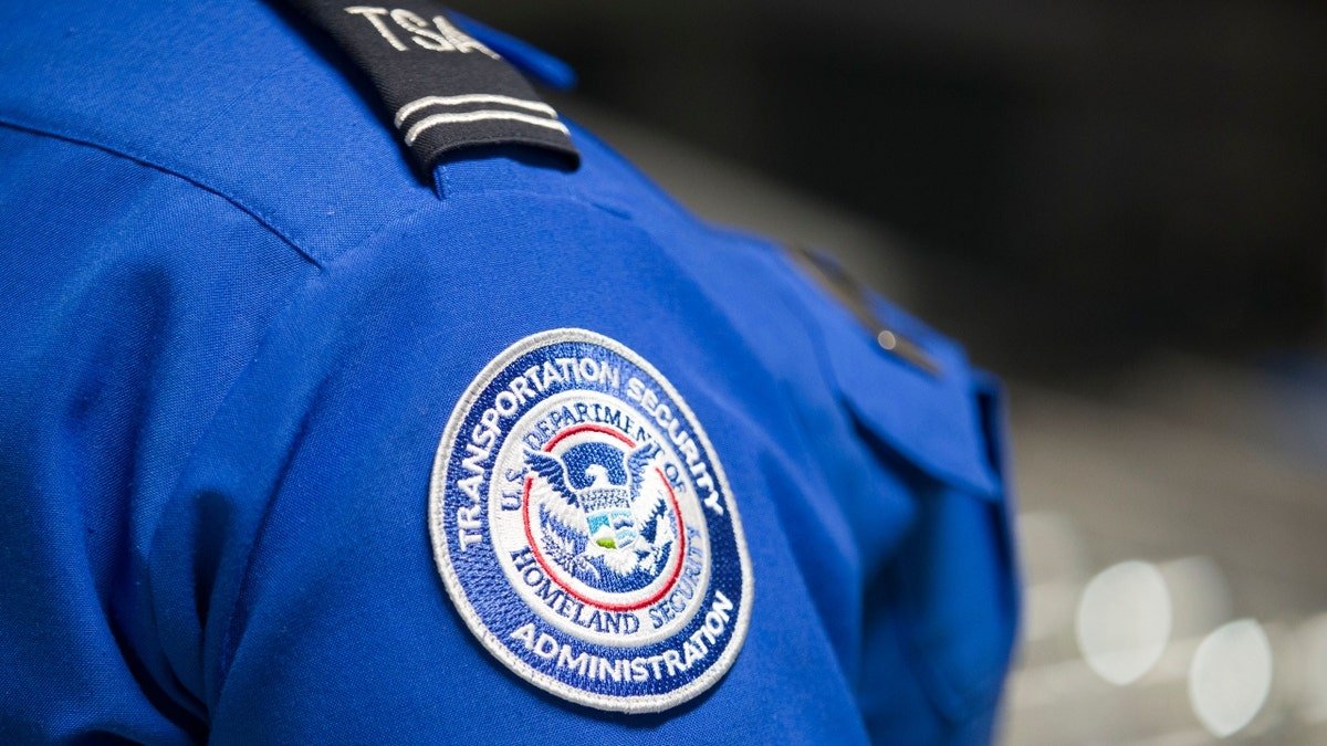 TSA logo