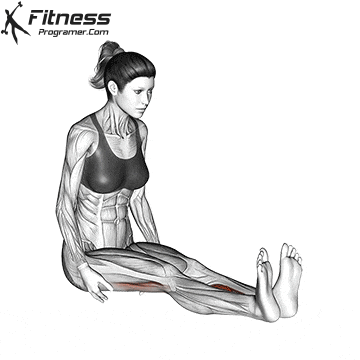 How to Get Bigger Calves – Why You Haven’t Been Able To 29 Seated Straight Leg Calf Stretch
