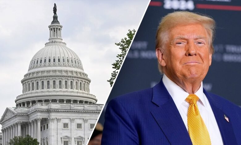 1746828792 Trumps big beautiful bill could see civil war over tax.jpg