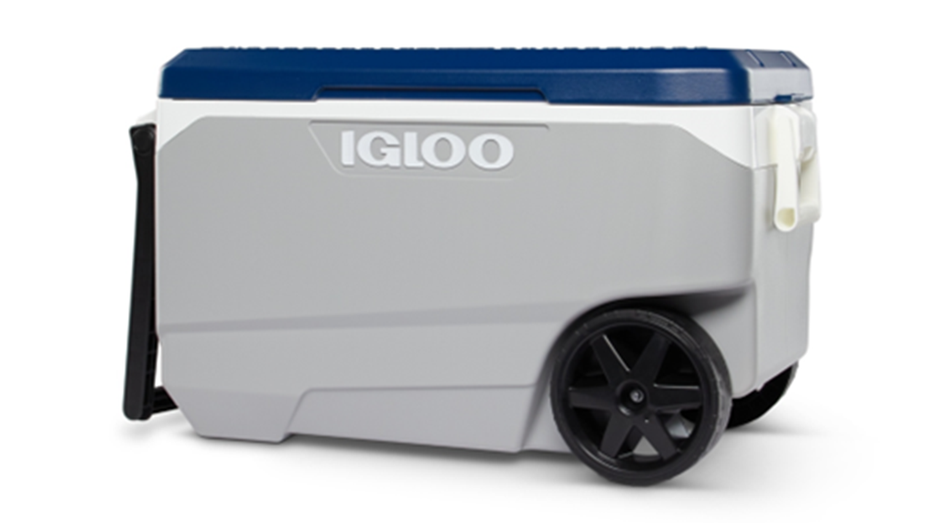 Gallo cooler with gray and upper blue bottom