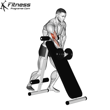 3-3-3 Exercise: a quick and effective experimentation plan 36 Dumbl Scott shaved