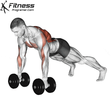 3-3-3 Exercise: a quick and effective experimentation plan 45 Dummbell Renegade Row