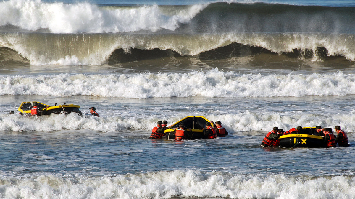 Marine seal training