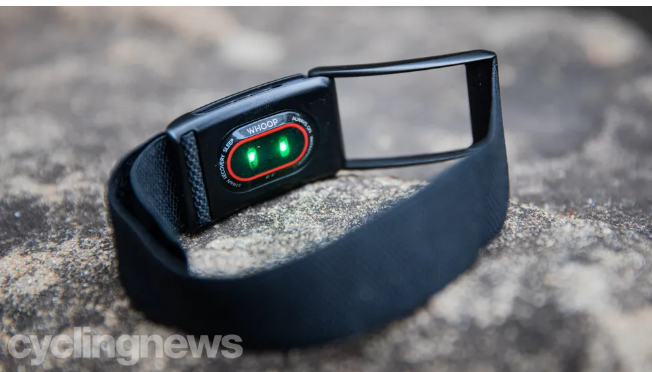 1747063202 Reliability of Wrist Heart Rate Monitors – BionicOldGuy.png