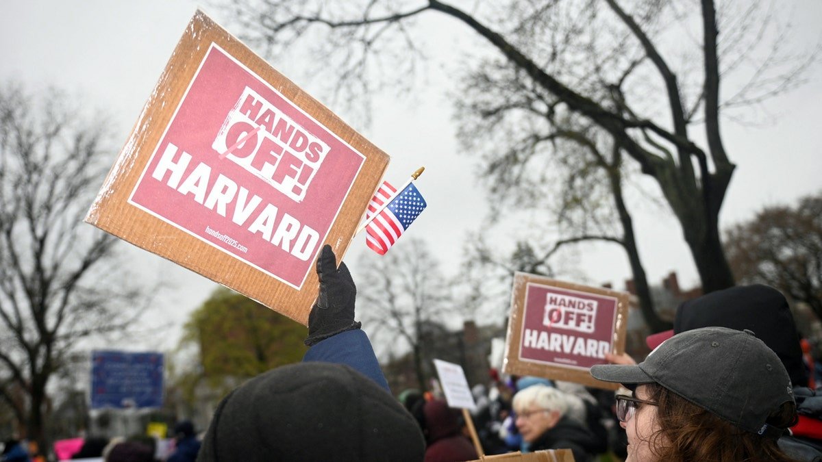 The protester maintains a sign of reading "Your hands! Harvard"