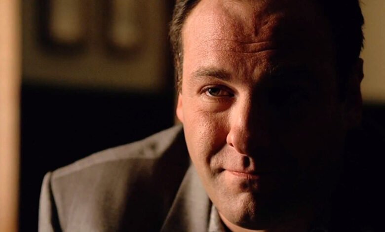 1747158144 How Much Money Does Tony Soprano Have In The Sopranos.jpg