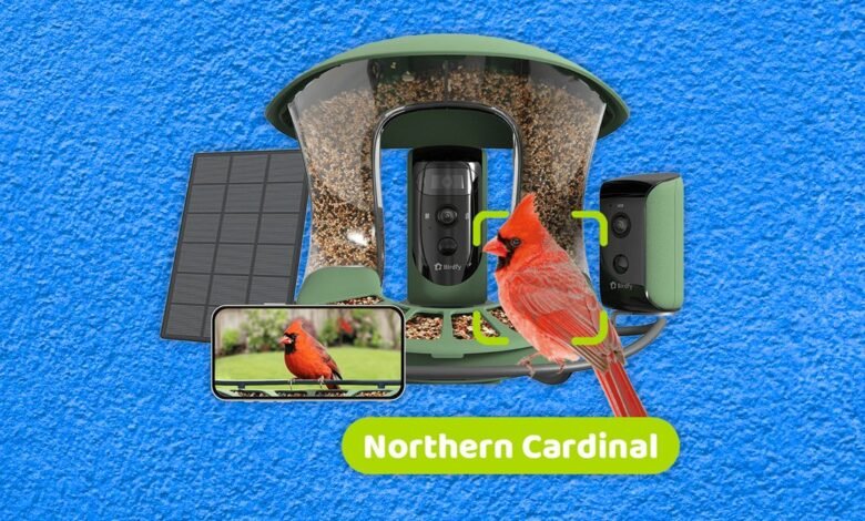 1747240595 Best Bird Feeders With Cameras Tested and Reviewed 2025.jpg