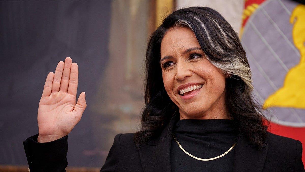 The hand of Toulsi Gabbard raised