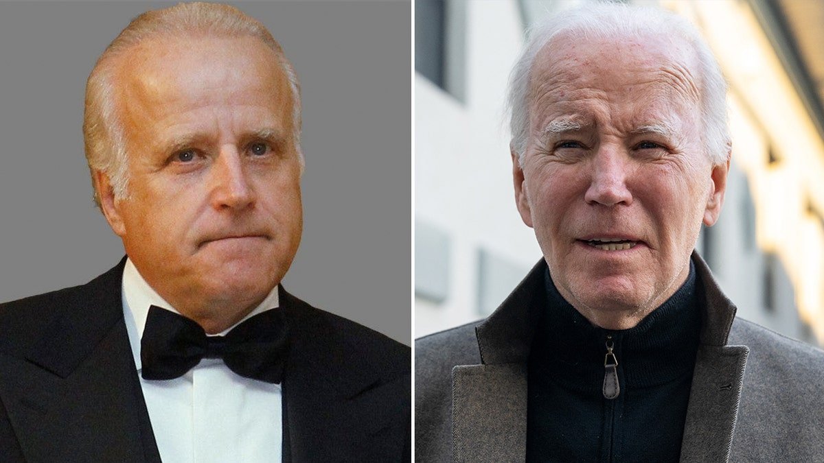 James Biden, Joe Biden in the division