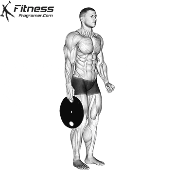 Building a fist -like fist: Tips and exercises for a fist force 6 Weight pressure plate hand pressure