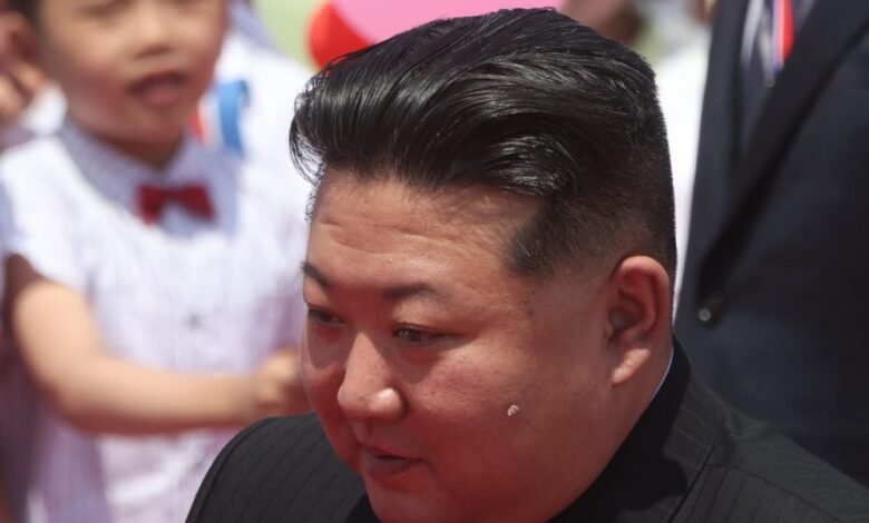 1747595370 ‘This is the mafia — How North Korea structures its.jpg