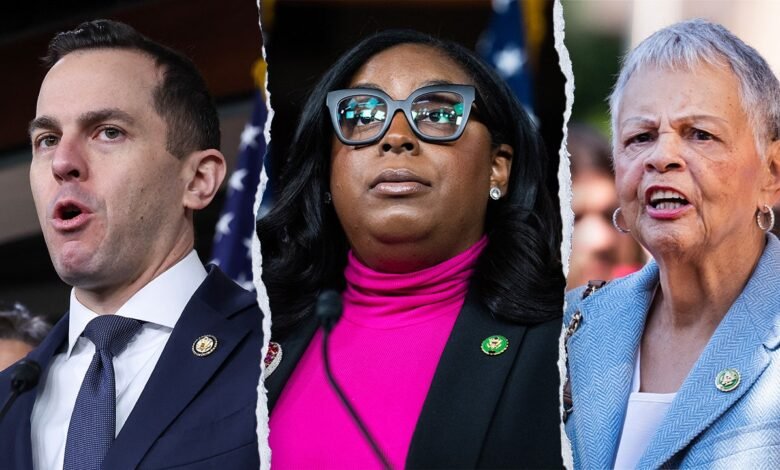 1747701445 Congresswoman charged over blue city ICE incident.jpg