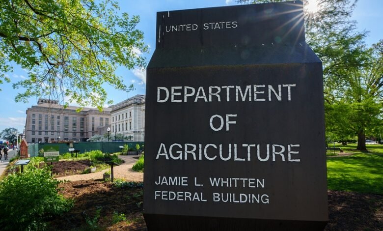 1747703844 California Avocado Commission says avocado orchards face catastrophic risk.jpg