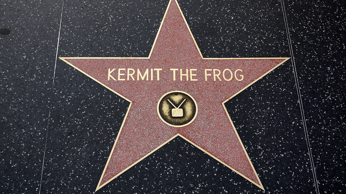 Kermit The Frog <a href=