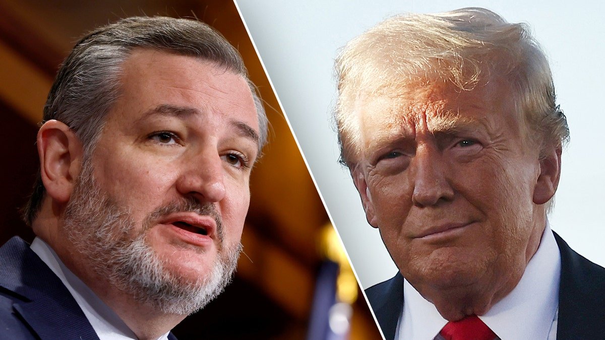 Ted Cruz, Donald Trump division