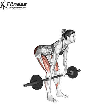 Romanlift iron