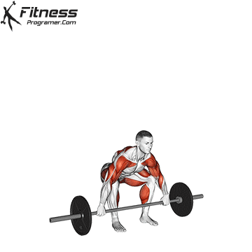 Fitness components related to performance: strength, strength, speed and more 15 The extraction of power
