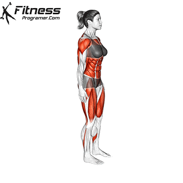 Improve Your VO₂ Max for Better Cardiovascular Health 8 Navy Seal Burpee