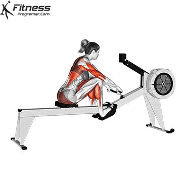 Improve Your VO₂ Max for Better Cardiovascular Health 6 Exercises to Lose Weight