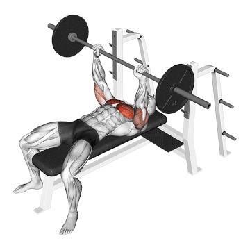 What is EPOC and why does it matter? Understanding an effect after pregnancy in fitness 15 The correct way to do the seat of the press