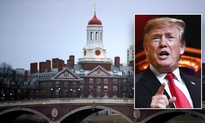 1747996897 Trump crackdown on international students blocked by federal court ruling.jpg