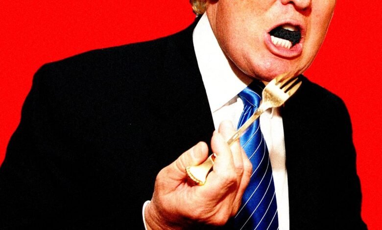 1748060496 A Helicopter Halibut and ‘YMCA Inside Donald Trumps Memecoin Dinner.jpg