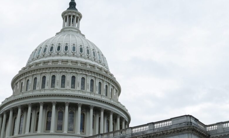 1748187832 US risks losing ‘reliable investment status Allianz GI manager says.jpg