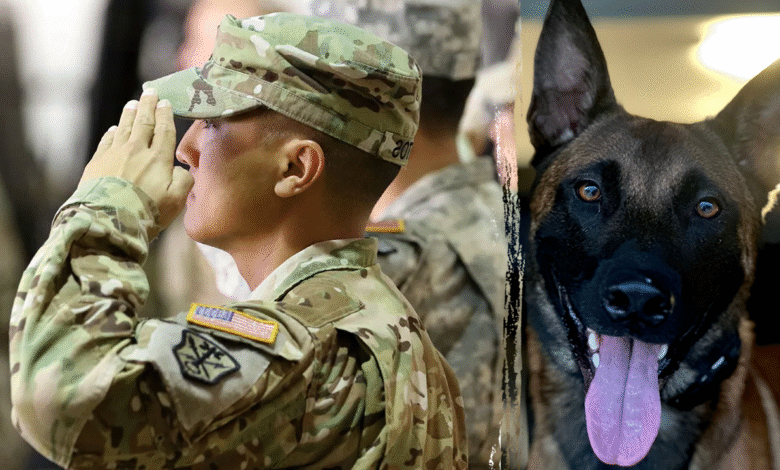 1748267759 Marine veteran fighting PTSD with service dog program transforming lives.png