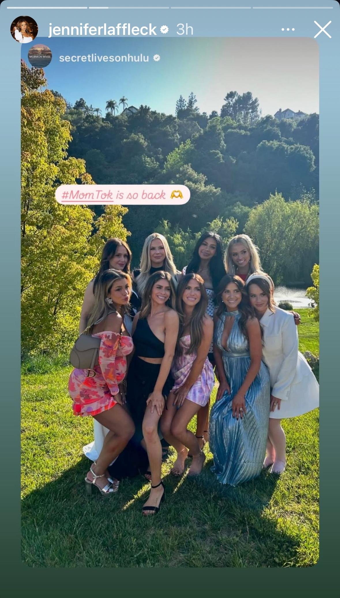 Mormon wives