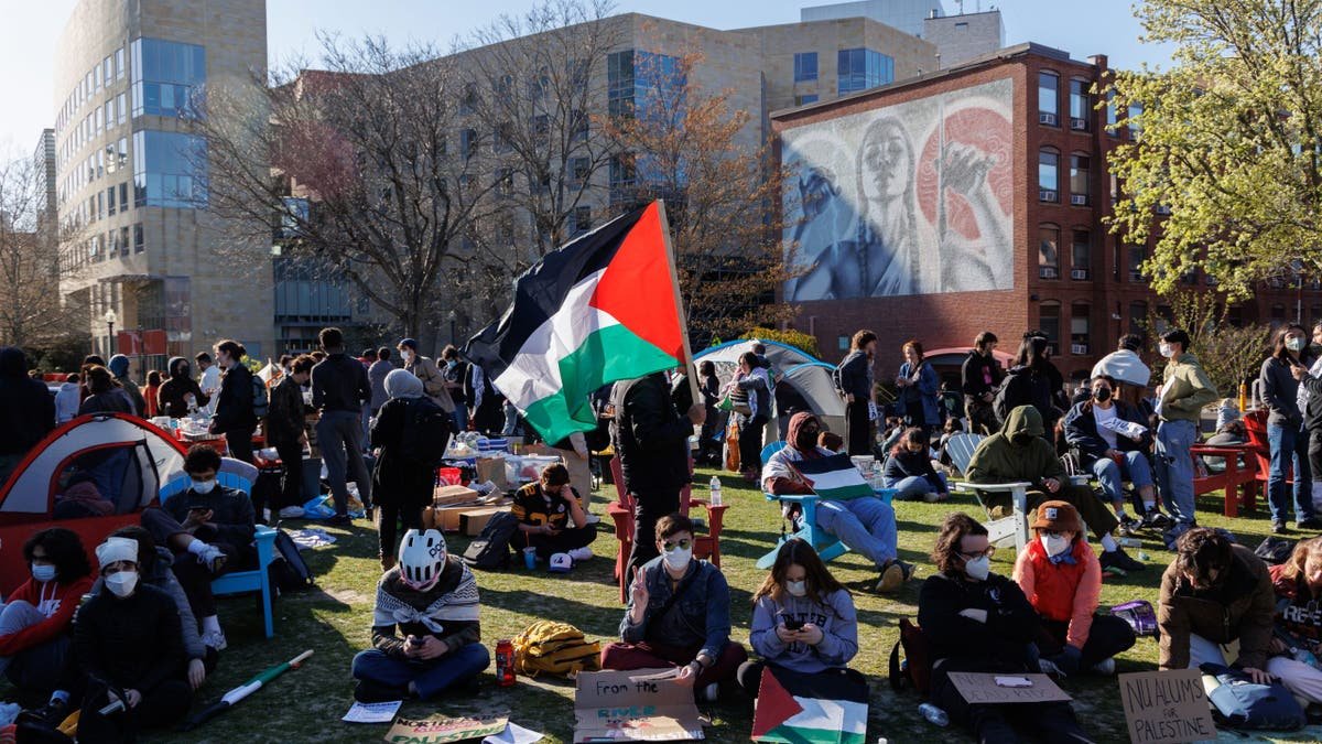 Support of North Istrern University students to combat camping in Harvard Yard
