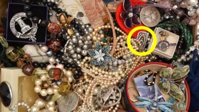 1748446903 Valuable diamond brooch discovered in plain sight among ordinary jewelry.jpg