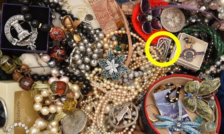 1748446903 Valuable diamond brooch discovered in plain sight among ordinary jewelry.jpg
