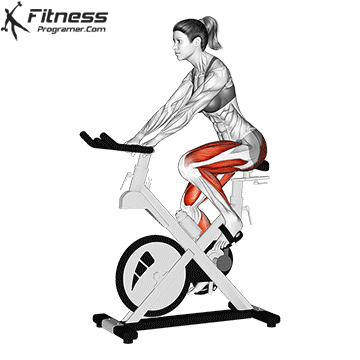 The best heart equipment for the first time in the gym 8 Air exercise bike