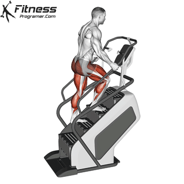 The best heart equipment for the first follow -up in the 10th gymnasium Walking on the father