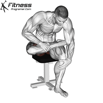 Why sitting is new smoking: combating the effects of long study sessions with these simple extensions 15 Piriformis sits extension