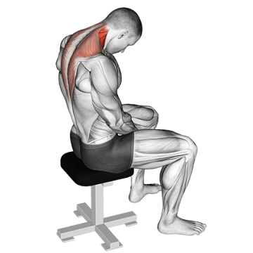 Why sitting is new smoking: combating the effects of long study sessions with these simple extensions 12 The neck is an extension