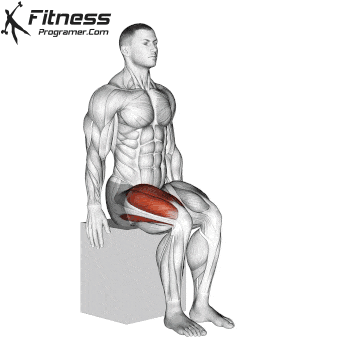 Why sitting is new smoking: combating the effects of long study sessions with these simple extensions 17 Stretching the knee sitting
