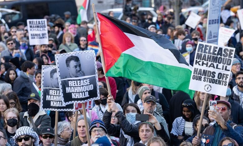 1748587381 Conservative legal experts slam judges ruling on anti Israel activist.jpg
