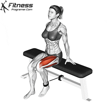 Groke muscles group: deep diving in the groin dissection 14 The stretch of the seated leg